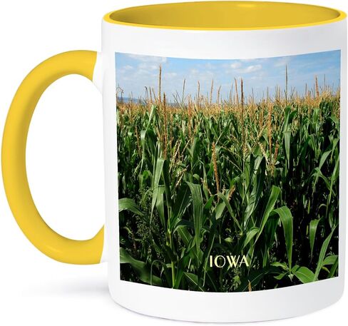 3dRose mug_62484_4 "Corn Fields Of Iowa" Two Tone Black Mug, 11 oz, Multicolor in Saudi Arabia
