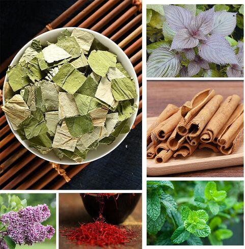 50pcs/Box Mugwort Patch/Patches ، ملصق بطن Mugwort ، Wormwood Belly Patch Magnet Butly Butting Patch Natural Wormwood Patch Natural Herbal Patch للنساء والرجال in Saudi Arabia