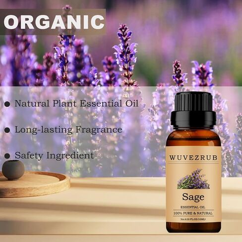 Sage Essential Oils 10ML, Organic 100% Pure and Natural Essential Oil for Aromatherapy Diffuser - 0.33 Fl Oz/Sage in Kuwait