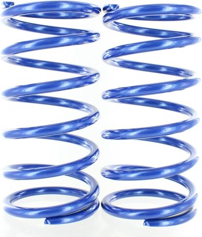 Polaris 2208900-751 Blue Metallic Spring Kit in Saudi Arabia