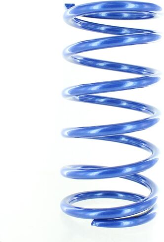Polaris 2208900-751 Blue Metallic Spring Kit in Saudi Arabia