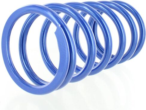 Polaris 2208900-751 Blue Metallic Spring Kit in Saudi Arabia