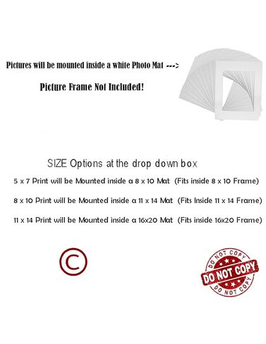 Red Brown Outhouse Bathroom Decor Modern Farmhouse Photography Matted Wall Art Picture (11x14 Photo with 16x20 mat, Brown Red Outhouse) in Kuwait