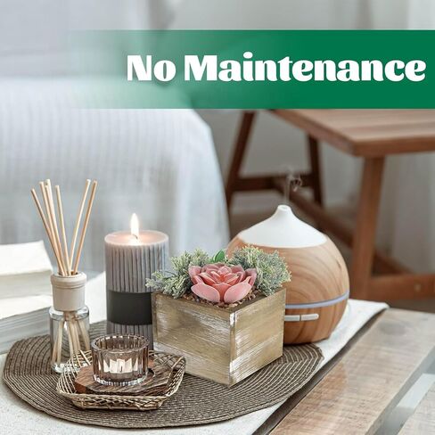 10 قطع من النباتات العصارية المزيفة المتنوعة من دير روز في أوعية خشبية مستطيلة لديكور طاولة غرفة المعيشة والحمام في المزرعة in Kuwait