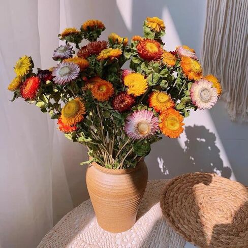 12Pcs Natural Dried Daisy Flowers Stems - Real Natural Dried Flowers Bouquet for Vase, Farmhouse Rustic Wedding Home Decor, DIY Handmade Dry Flower Arrangement, Gardening, Gift, Multi-Colored in Saudi Arabia