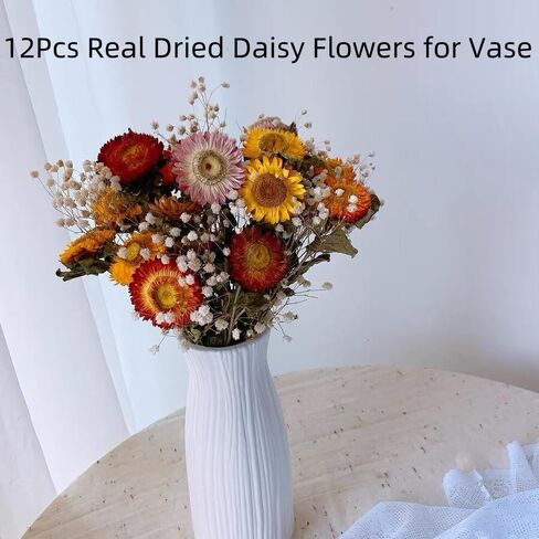 12Pcs Natural Dried Daisy Flowers Stems - Real Natural Dried Flowers Bouquet for Vase, Farmhouse Rustic Wedding Home Decor, DIY Handmade Dry Flower Arrangement, Gardening, Gift, Multi-Colored in Saudi Arabia
