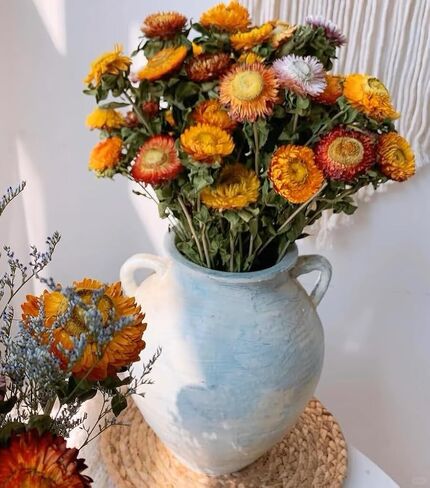 12Pcs Natural Dried Daisy Flowers Stems - Real Natural Dried Flowers Bouquet for Vase, Farmhouse Rustic Wedding Home Decor, DIY Handmade Dry Flower Arrangement, Gardening, Gift, Multi-Colored in Saudi Arabia