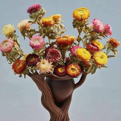 12Pcs Natural Dried Daisy Flowers Stems - Real Natural Dried Flowers Bouquet for Vase, Farmhouse Rustic Wedding Home Decor, DIY Handmade Dry Flower Arrangement, Gardening, Gift, Multi-Colored in Saudi Arabia