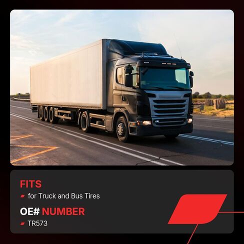 TR573 SECTAL SECT ، تجارية نحاسية 4-3/8 لـ RIM φ. 625 "، لاستبدال إطارات الشاحنات والحافلة استبدال# TR573 （حزمة من 10） in Saudi Arabia