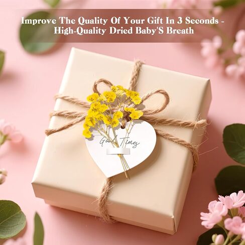 50 PCS BABY'S BESTER REAL NARTAL NORTORY DRIEPED FLOWERS FOR WEDDAY DIY Home Decor Resin Resin Card Card Transles (White) in Kuwait