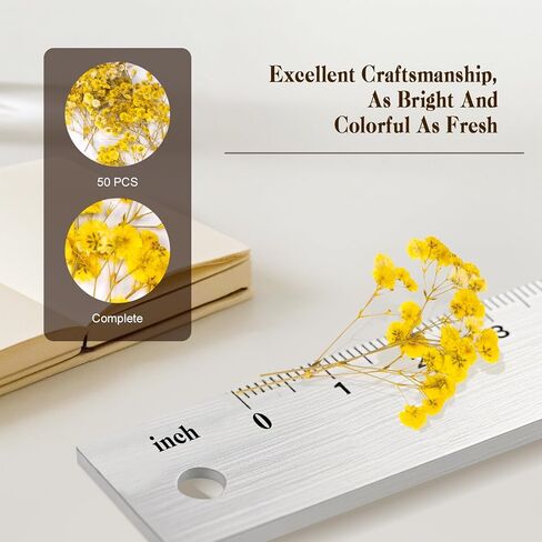 50 PCS BABY'S BESTER REAL NARTAL NORTORY DRIEPED FLOWERS FOR WEDDAY DIY Home Decor Resin Resin Card Card Transles (White) in Kuwait