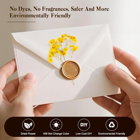 50 PCS BABY'S BESTER REAL NARTAL NORTORY DRIEPED FLOWERS FOR WEDDAY DIY Home Decor Resin Resin Card Card Transles (White) in Kuwait