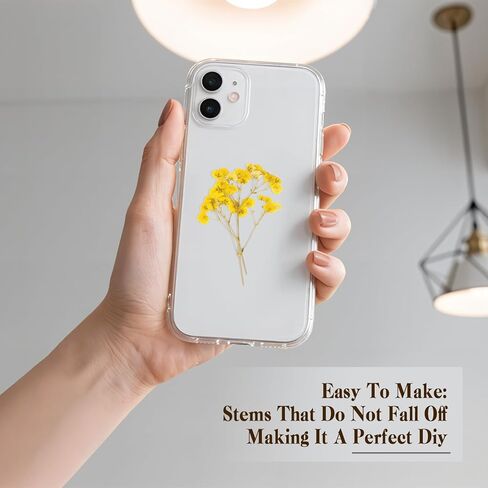 50 PCS BABY'S BESTER REAL NARTAL NORTORY DRIEPED FLOWERS FOR WEDDAY DIY Home Decor Resin Resin Card Card Transles (White) in Kuwait