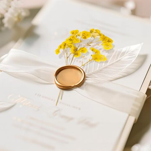 50 PCS BABY'S BESTER REAL NARTAL NORTORY DRIEPED FLOWERS FOR WEDDAY DIY Home Decor Resin Resin Card Card Transles (White) in Kuwait