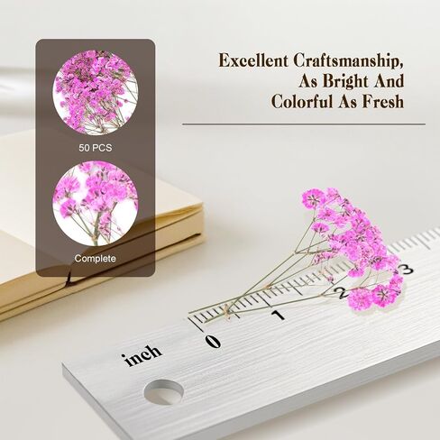 50 PCS BABY'S BESTER REAL NARTAL NORTORY DRIEPED FLOWERS FOR WEDDAY DIY Home Decor Resin Resin Card Card Transles (White) in Kuwait