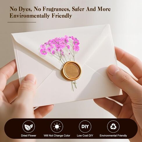 50 PCS BABY'S BESTER REAL NARTAL NORTORY DRIEPED FLOWERS FOR WEDDAY DIY Home Decor Resin Resin Card Card Transles (White) in Kuwait