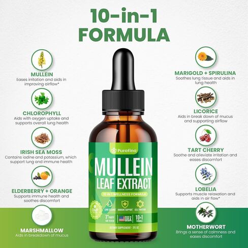 قطرات Mullein للرئتين ، مستخلص أوراق Mullein 10 في 1 لتطهير الرئة مع كروسلوفيل ، طحالب البحر ، سبيرولينا ، إلدربيري ، التخلص من نوكس الرئة التنفسي-الولايات المتحدة الأمريكية مكمل مولين (زجاجة واحدة) in Kuwait