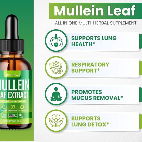 قطرات Mullein للرئتين ، مستخلص أوراق Mullein 10 في 1 لتطهير الرئة مع كروسلوفيل ، طحالب البحر ، سبيرولينا ، إلدربيري ، التخلص من نوكس الرئة التنفسي-الولايات المتحدة الأمريكية مكمل مولين (زجاجة واحدة) in Kuwait