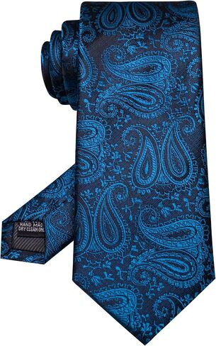 RBOCOTT Mens Paisley Tie for Business and Wedding in Saudi Arabia