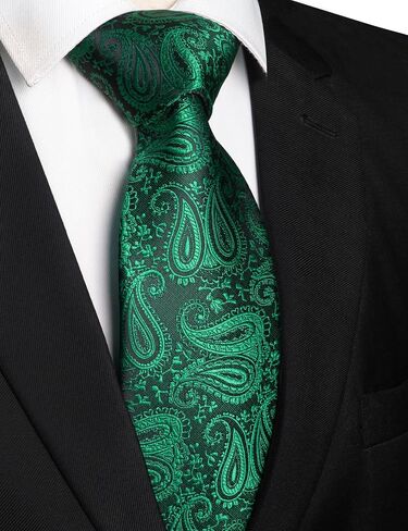 RBOCOTT Mens Paisley Tie for Business and Wedding in Saudi Arabia