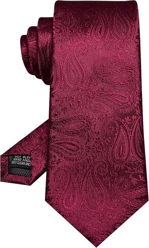 RBOCOTT MENS PAISLEY TIE للأعمال والزفاف in Kuwait