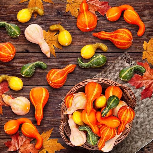Geelin 12 PCs متنوعة من القرع الاصطناعي قرع القرع الزخرفة 4.5 بوصة نابض بعصا القرع ألوان اليقطين مزيف لديكور الخريف منزل المزرعة in Saudi Arabia