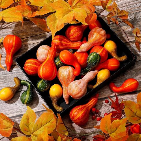 Geelin 12 PCs متنوعة من القرع الاصطناعي قرع القرع الزخرفة 4.5 بوصة نابض بعصا القرع ألوان اليقطين مزيف لديكور الخريف منزل المزرعة in Saudi Arabia