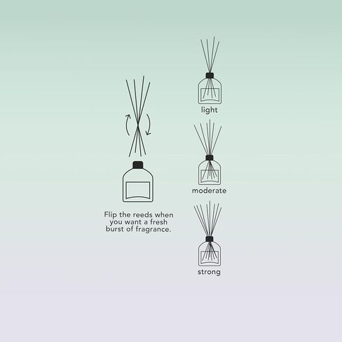رماد وحديد الأفق الطازج الناشر القصب الفاخرة ، عطر أزهار الجوية والباكس هش ، 125 مل ، مدة 3 أشهر ، نضارة الطبيعة تجتمع الدفء الزهري in Saudi Arabia
