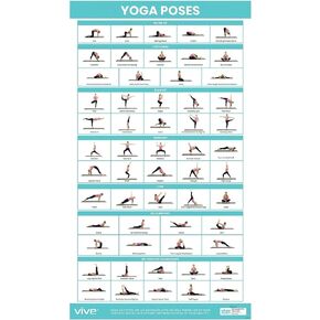 Vive Yoga Poster - Poses for Beginners and Experts - Mat Exercise Home Gym Workout Accessories Set- Double Sided Laminated Flow Chart Accessory - Instructional Guided Routine - for Women, Men