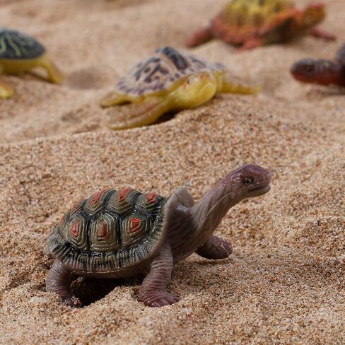Liberty Imports 12 Piece Sea Turtle Animal Toys - Miniature Figurines - Unique Tortoise Toys Detailed and Hand Painted Reptiles Party Favor Decorations and Kids in Saudi Arabia