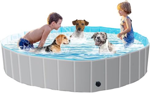 حمام سباحة قابل للطي للكلاب مقاس 63 بوصة، حوض سباحة من البلاستيك الصلب قابل للطي للكلاب والأطفال، حوض استحمام للحيوانات الأليفة في الهواء الطلق، كبير in Kuwait