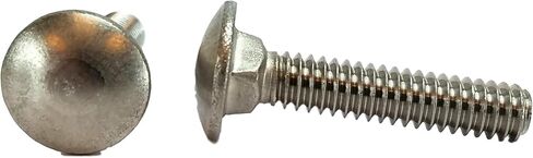 Stainless 1/4-20 x 1inches Carriage Bolt (3/4inches to 5inches Lengths Available in Listing), 18-8 Stainless Steel,50 Pieces (1/4-20x1) in Saudi Arabia