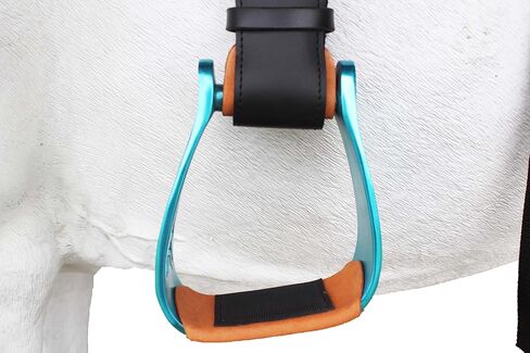 CHALLENGER Horse Western Turquoise Aluminium Engraved Barrel Racer Angled Stirrups 51151TR in Saudi Arabia