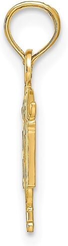 14k Yellow or White Gold RN Registered Nurse Pendant in Saudi Arabia