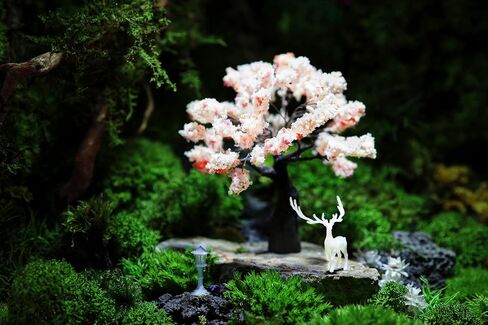 Karesansui Mini Japanese Garden - Terrarium & Spider Tank Decor ، Zen Garden for Desk Kit ، Paludarium Decorations ، Miniature House Kit ، Dollhouse Accessories ، Fairy Garden Accessories in Saudi Arabia