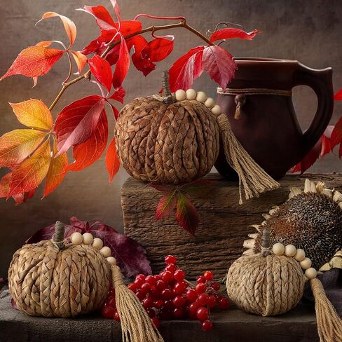 Wesiti 3 PCS Rattan Pumpkin مع شرابة الخرز Boho الخريف المحايدة ديكور الشكر المصنوعة يدويًا على طاولة اليقطين المنسوجة الاصطناعية مركزية مزرعة الخريف لزخارف الخريف لصالح الحصاد الداخلي هالوين in Saudi Arabia
