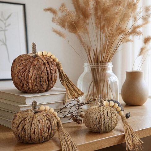 Wesiti 3 PCS Rattan Pumpkin مع شرابة الخرز Boho الخريف المحايدة ديكور الشكر المصنوعة يدويًا على طاولة اليقطين المنسوجة الاصطناعية مركزية مزرعة الخريف لزخارف الخريف لصالح الحصاد الداخلي هالوين in Saudi Arabia