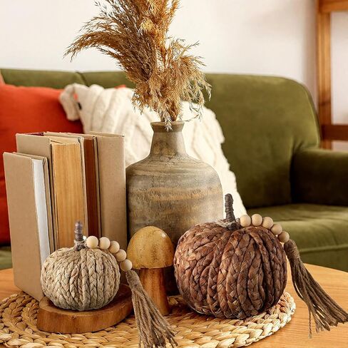 Wesiti 3 PCS Rattan Pumpkin مع شرابة الخرز Boho الخريف المحايدة ديكور الشكر المصنوعة يدويًا على طاولة اليقطين المنسوجة الاصطناعية مركزية مزرعة الخريف لزخارف الخريف لصالح الحصاد الداخلي هالوين in Saudi Arabia