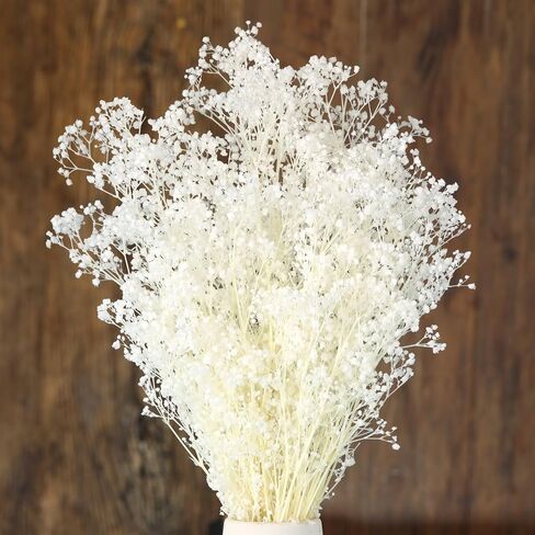 Dried Flowers Babys Breath Bouquet, Natural White Dry Flowers – 17'' 1800+ Ivory Flowers, Preserved Gypsophila Branches for Wedding, Farmhouse Vase Decor, DIY Wreath Floral, Home Party Decoration in Kuwait