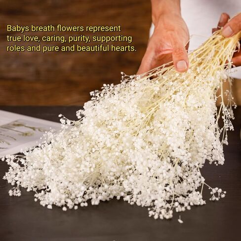 Dried Flowers Babys Breath Bouquet, Natural White Dry Flowers – 17'' 1800+ Ivory Flowers, Preserved Gypsophila Branches for Wedding, Farmhouse Vase Decor, DIY Wreath Floral, Home Party Decoration in Kuwait