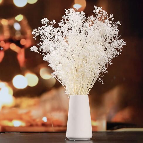 Dried Flowers Babys Breath Bouquet, Natural White Dry Flowers – 17'' 1800+ Ivory Flowers, Preserved Gypsophila Branches for Wedding, Farmhouse Vase Decor, DIY Wreath Floral, Home Party Decoration in Kuwait