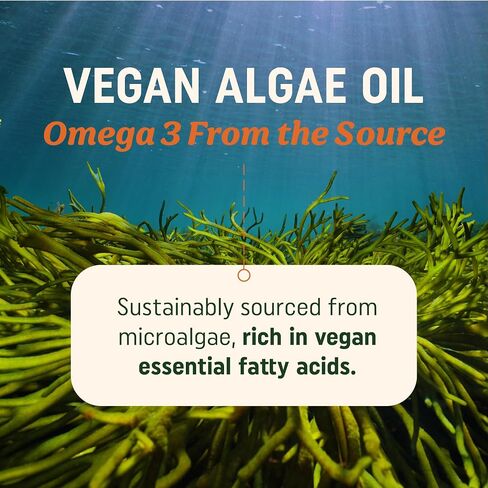 Vegan Omega 3 Algae Oil | Plant Based DHA EPA | Sustainably Sourced, No Carrageenan, Non GMO | Heart, Brain, Eye & Joint Health | Fish Oil Alternative | Algae Oil Omega 3 Supplement | 60 Softgels in Saudi Arabia