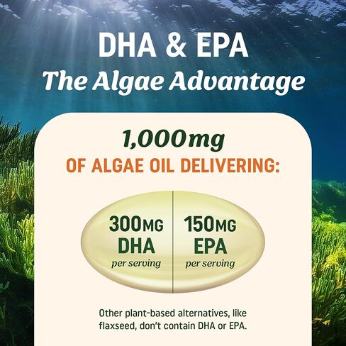 Vegan Omega 3 Algae Oil | Plant Based DHA EPA | Sustainably Sourced, No Carrageenan, Non GMO | Heart, Brain, Eye & Joint Health | Fish Oil Alternative | Algae Oil Omega 3 Supplement | 60 Softgels in Saudi Arabia