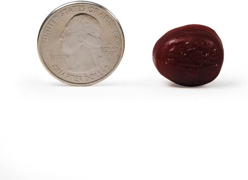 مكمل دعم الدماغ منشط الذهن من نيوريفا - بالإضافة إلى صمغ الفراولة فوسفاتيديل سيرين، B6، B12، يدعم دقة التعلم والتركيز على التركيز والذاكرة 50 قطعة (عبوة من 3) in Kuwait