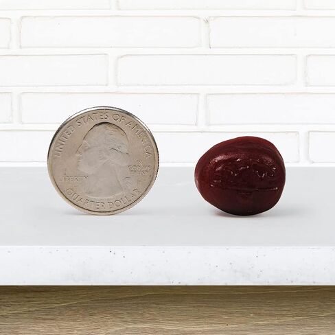 مكمل دعم الدماغ منشط الذهن من نيوريفا - بالإضافة إلى صمغ الفراولة فوسفاتيديل سيرين، B6، B12، يدعم دقة التعلم والتركيز على التركيز والذاكرة 50 قطعة (عبوة من 3) in Kuwait