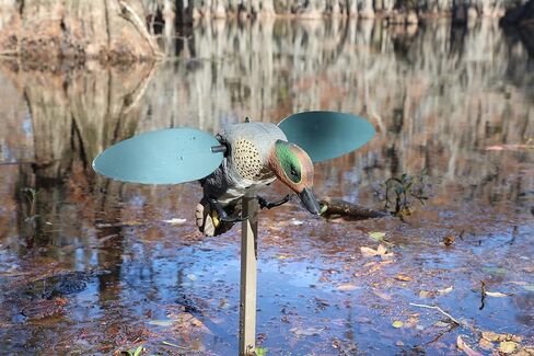 MOJO Outdoors Elite Series Mini Mallard Spinning Wing Flexible Duck Decoy for Duck Hunting with Smoother, Quieter, Faster, and More User Friendly Decoy, Includes A Solid Component Housing, Drake in Kuwait