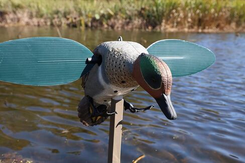 MOJO Outdoors Elite Series Mini Mallard Spinning Wing Flexible Duck Decoy for Duck Hunting with Smoother, Quieter, Faster, and More User Friendly Decoy, Includes A Solid Component Housing, Drake in Kuwait
