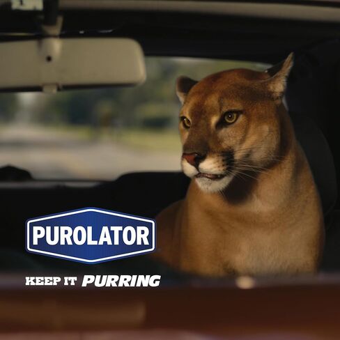 Purolator L38165 Premium Engine Protection Cartridge Oil Filter in Saudi Arabia