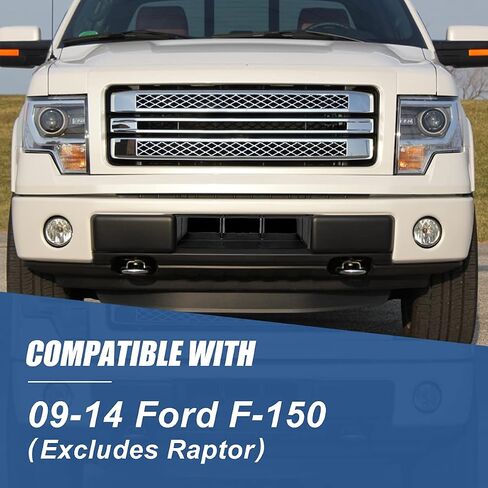 Auto Dynasty - Factory Style Front Lower Intercooler Grill Cover Insert Panel Kit Compatible with Ford F150 Non Raptor 2009-2014, Matte Black in Saudi Arabia