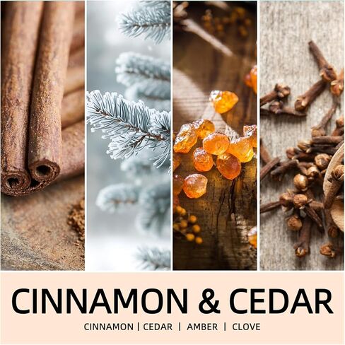 Fall Candles Set | 4 Pack Candles for Home Scented Natural Soy Wax, Autumn Gifts Set for Women Men, Fall Fragrance of Hellofall, Spice Pumpkin, Apple Cider, Hot Cocoa in Kuwait